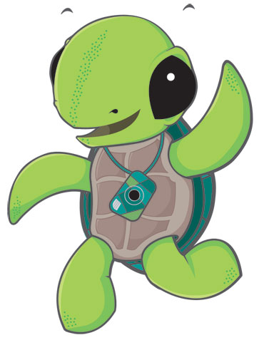 Turtle Mascot