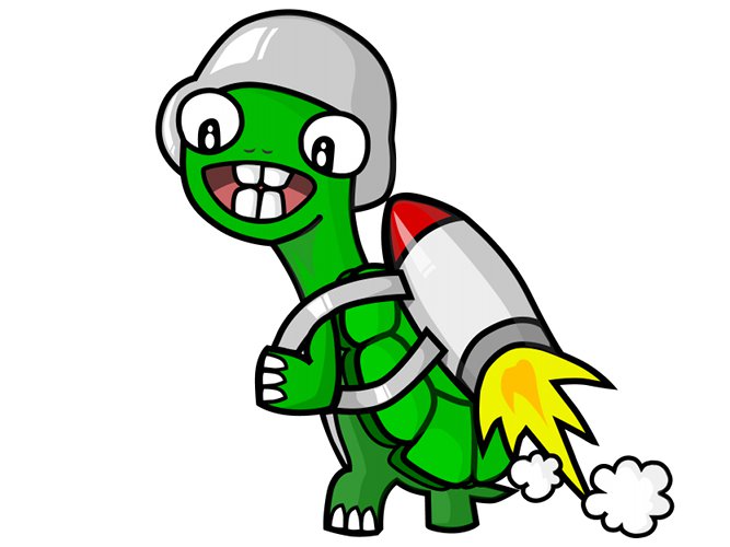 Funny Turtle Mascot
