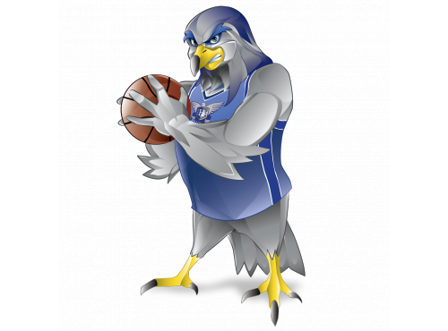 Basketball Hawks Mascot
